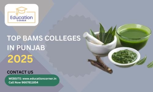 Top BAMS College in Punjab 2025