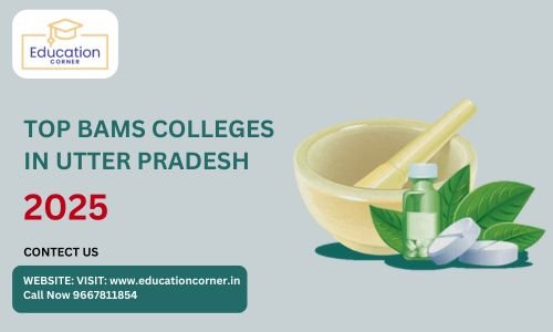 TOP BAMS Colleges in Uttar Pradesh 2025